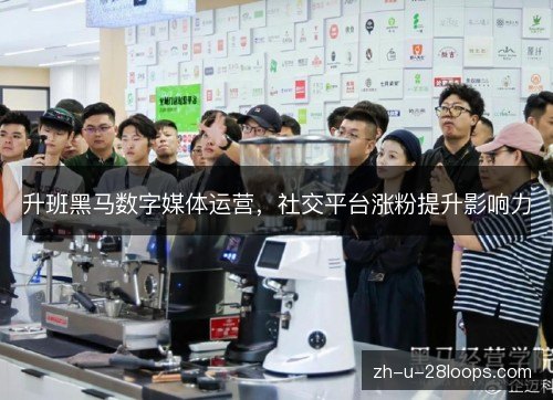 升班黑马数字媒体运营，社交平台涨粉提升影响力